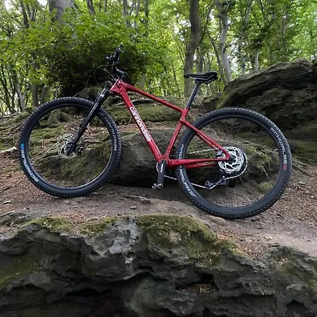 Wittekindsquelle Hotel