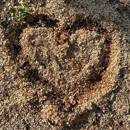 Hotel Wittekindsquelle Bad Oeynhausen