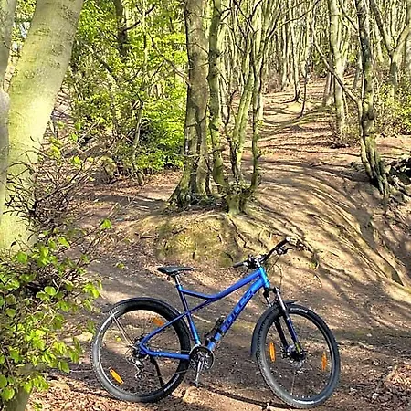 Wittekindsquelle 3*