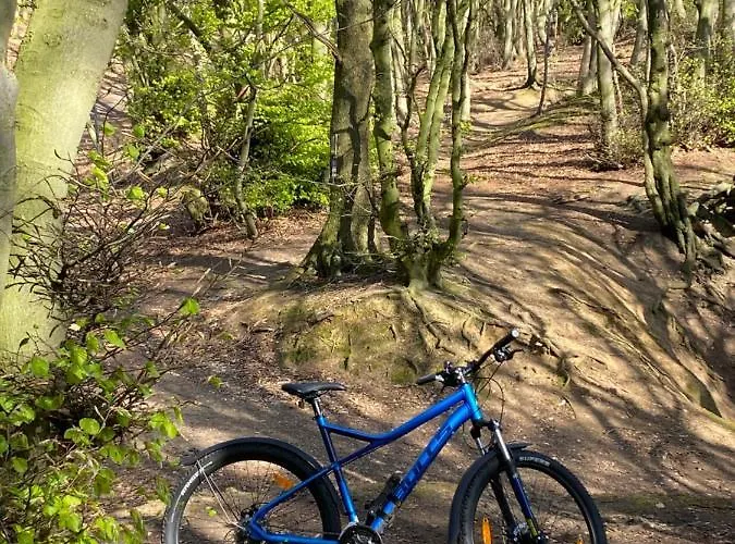 Hotel Wittekindsquelle Bad Oeynhausen