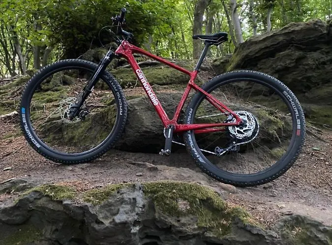 Wittekindsquelle Hotel