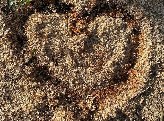 Hotel Wittekindsquelle Bad Oeynhausen