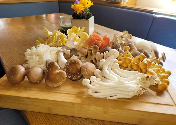 Wittekindsquelle Hotel Bad Oeynhausen